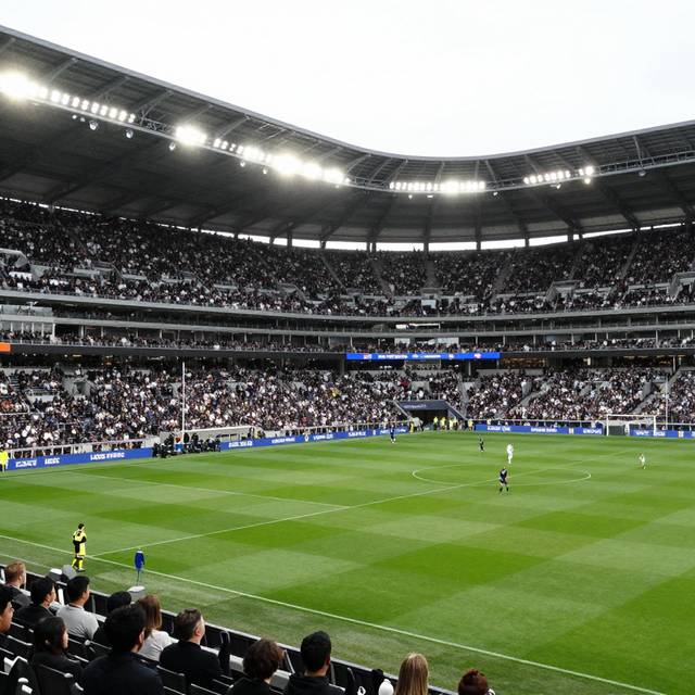 post_img_1782891398_6500